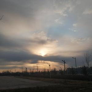 中国少女性交片
