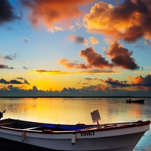 中国少女性交片
