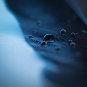 中国少女性交片
